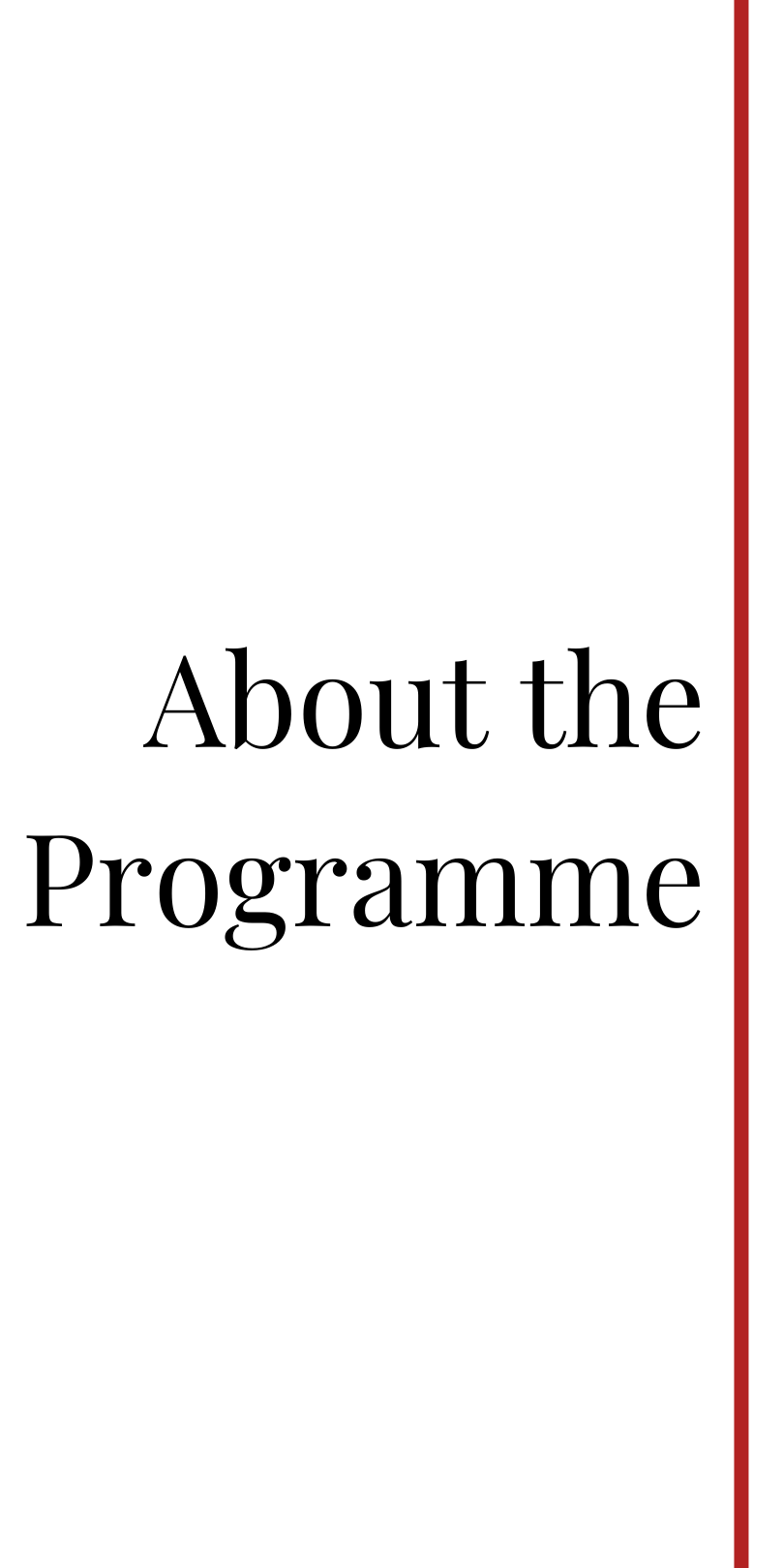 About the Programme